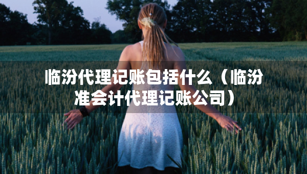 臨汾代理記賬包括什么（臨汾準(zhǔn)會(huì)計(jì)代理記賬公司）