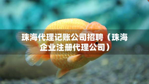 珠海代理記賬公司招聘（珠海企業(yè)注冊(cè)代理公司）