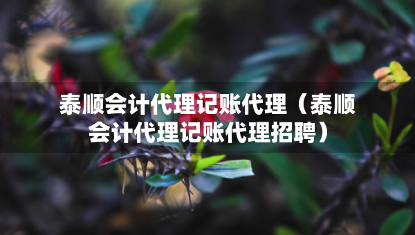 泰順會計代理記賬代理（泰順會計代理記賬代理招聘）