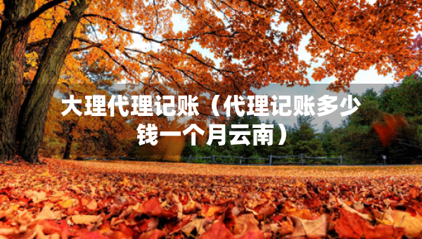 大理代理記賬（代理記賬多少錢(qián)一個(gè)月云南）