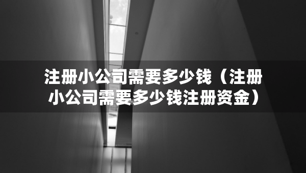 注冊(cè)小公司需要多少錢(qián)（注冊(cè)小公司需要多少錢(qián)注冊(cè)資金）