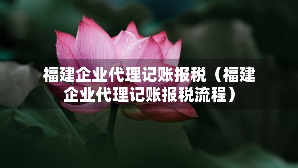 福建企業(yè)代理記賬報稅（福建企業(yè)代理記賬報稅流程）