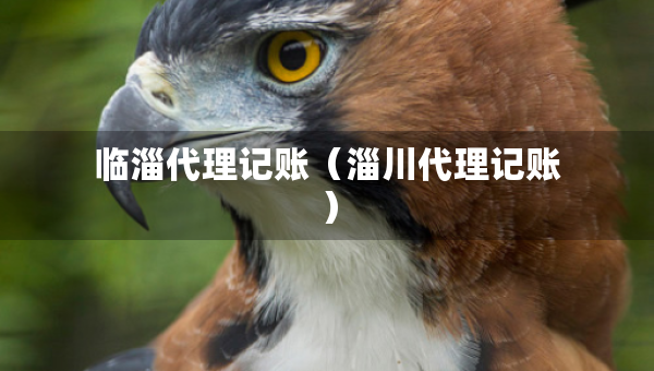 臨淄代理記賬（淄川代理記賬）