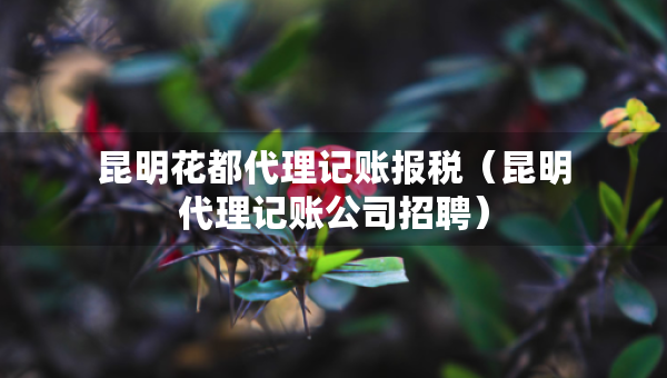 昆明花都代理記賬報(bào)稅（昆明代理記賬公司招聘）