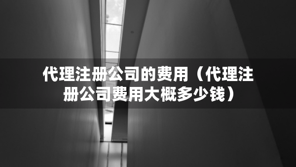 代理注冊(cè)公司的費(fèi)用（代理注冊(cè)公司費(fèi)用大概多少錢）