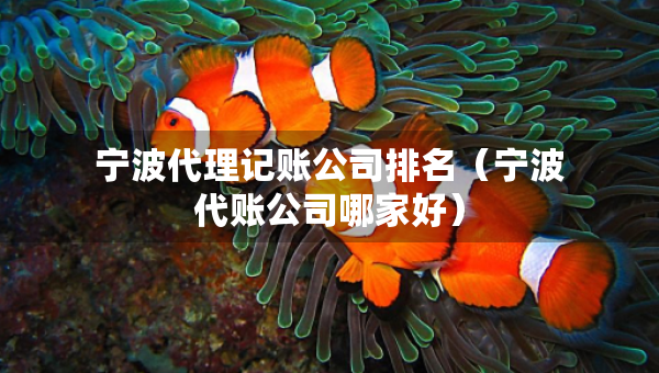 寧波代理記賬公司排名（寧波代賬公司哪家好）