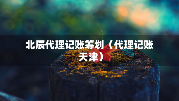 北辰代理記賬籌劃（代理記賬 天津）