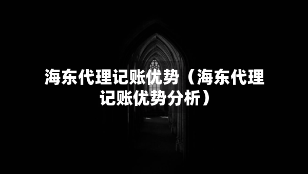 海東代理記賬優(yōu)勢（海東代理記賬優(yōu)勢分析）