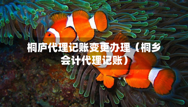 桐廬代理記賬變更辦理（桐鄉(xiāng)會(huì)計(jì)代理記賬）