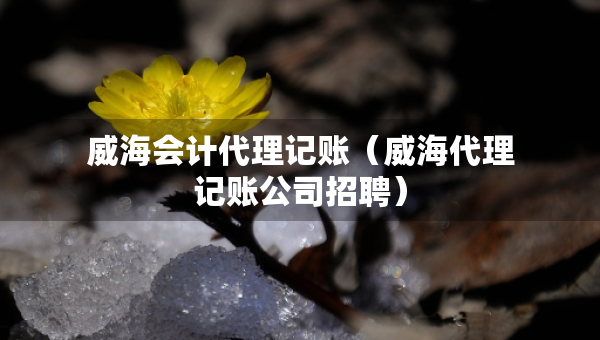 威海會(huì)計(jì)代理記賬（威海代理記賬公司招聘）