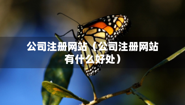 公司注冊(cè)網(wǎng)站（公司注冊(cè)網(wǎng)站有什么好處）