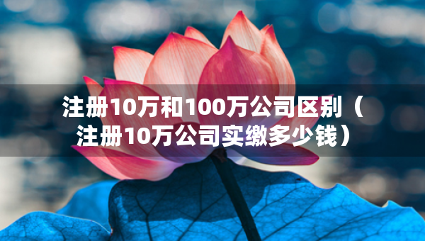 注冊(cè)10萬(wàn)和100萬(wàn)公司區(qū)別（注冊(cè)10萬(wàn)公司實(shí)繳多少錢）