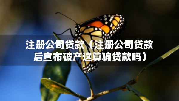 注冊(cè)公司貸款（注冊(cè)公司貸款后宣布破產(chǎn)這算騙貸款嗎）