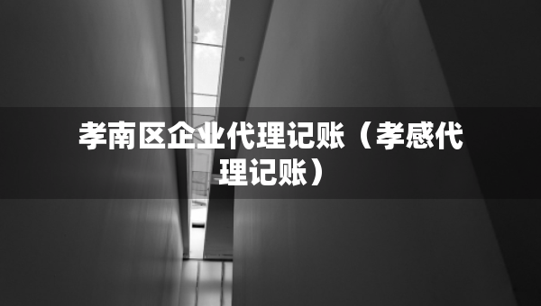 孝南區(qū)企業(yè)代理記賬（孝感代理記賬）