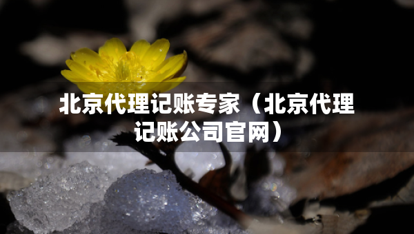 北京代理記賬專家（北京代理記賬公司官網(wǎng)）