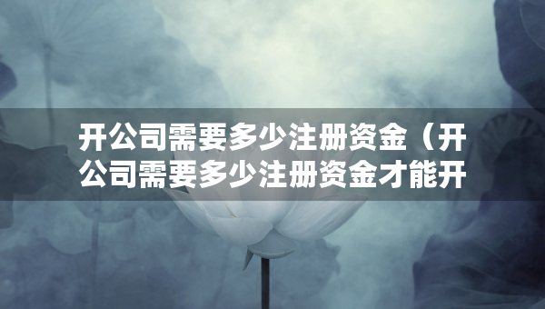 開公司需要多少注冊資金（開公司需要多少注冊資金才能開）