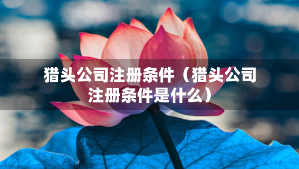 獵頭公司注冊(cè)條件（獵頭公司注冊(cè)條件是什么）