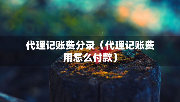 代理記賬費(fèi)分錄（代理記賬費(fèi)用怎么付款）