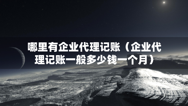 哪里有企業(yè)代理記賬（企業(yè)代理記賬一般多少錢一個(gè)月）