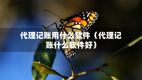 代理記賬用什么軟件（代理記賬什么軟件好）