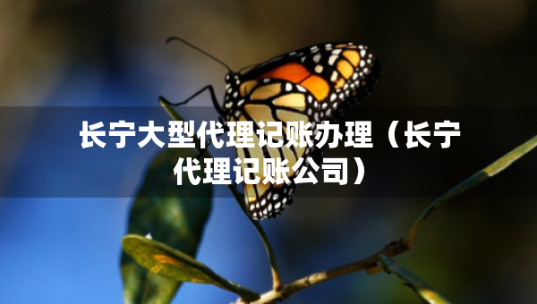 長寧大型代理記賬辦理（長寧代理記賬公司）