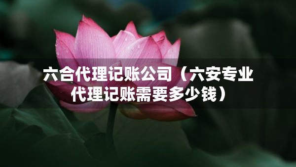 六合代理記賬公司（六安專業(yè)代理記賬需要多少錢）