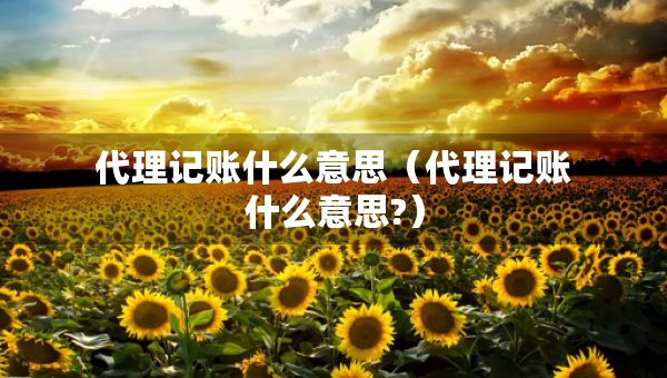 代理記賬什么意思（代理記賬什么意思?）