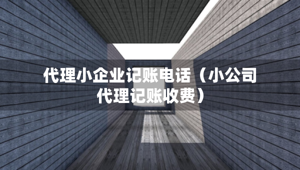 代理小企業(yè)記賬電話（小公司代理記賬收費）