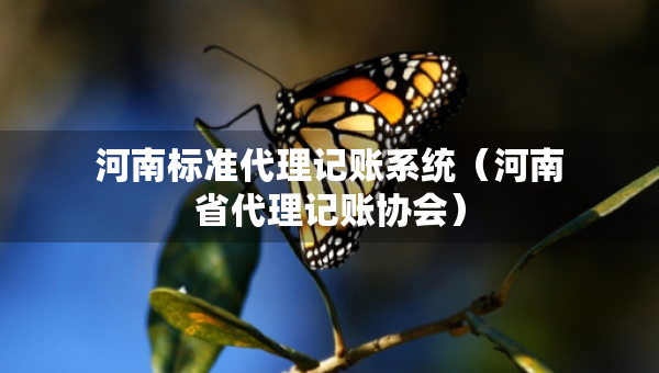 河南標(biāo)準(zhǔn)代理記賬系統(tǒng)（河南省代理記賬協(xié)會）