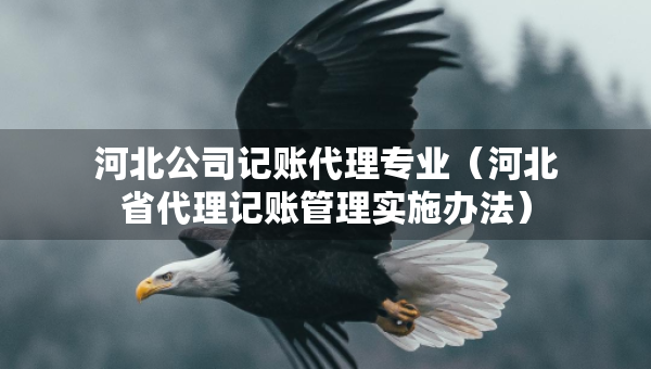 河北公司記賬代理專業(yè)（河北省代理記賬管理實施辦法）