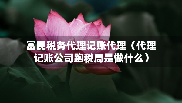 富民稅務代理記賬代理（代理記賬公司跑稅局是做什么）