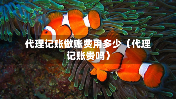 代理記賬做賬費(fèi)用多少（代理記賬貴嗎）