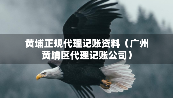 黃埔正規(guī)代理記賬資料（廣州黃埔區(qū)代理記賬公司）