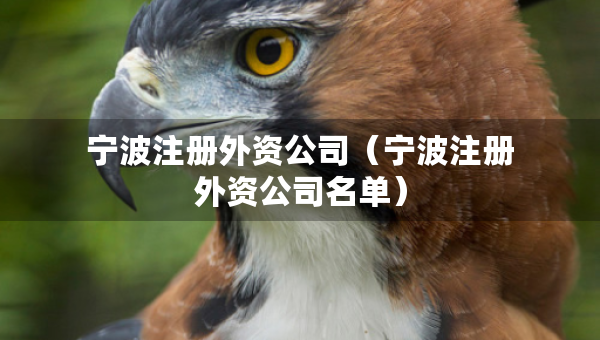 寧波注冊(cè)外資公司（寧波注冊(cè)外資公司名單）