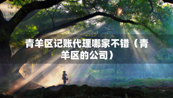 青羊區(qū)記賬代理哪家不錯(cuò)（青羊區(qū)的公司）