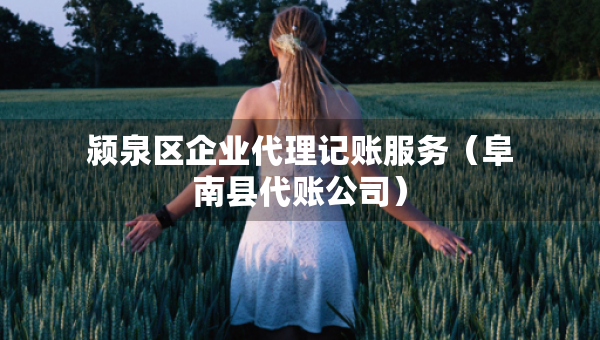 潁泉區(qū)企業(yè)代理記賬服務(wù)（阜南縣代賬公司）