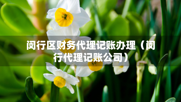 閔行區(qū)財(cái)務(wù)代理記賬辦理（閔行代理記賬公司）