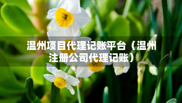 溫州項目代理記賬平臺（溫州注冊公司代理記賬）