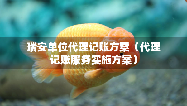 瑞安單位代理記賬方案（代理記賬服務(wù)實(shí)施方案）
