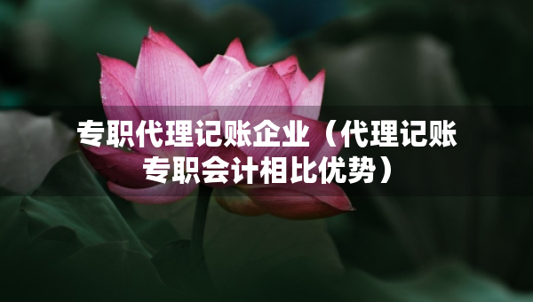 專職代理記賬企業(yè)（代理記賬專職會計相比優(yōu)勢）