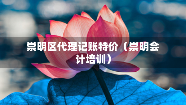 崇明區(qū)代理記賬特價（崇明會計培訓）