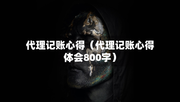 代理記賬心得（代理記賬心得體會800字）