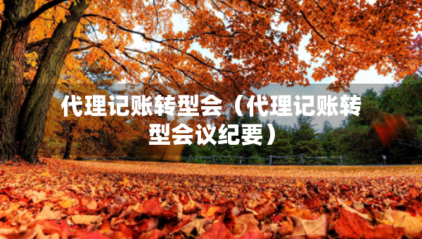 代理記賬轉(zhuǎn)型會(huì)（代理記賬轉(zhuǎn)型會(huì)議紀(jì)要）