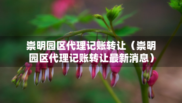 崇明園區(qū)代理記賬轉(zhuǎn)讓（崇明園區(qū)代理記賬轉(zhuǎn)讓最新消息）