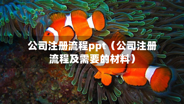 公司注冊(cè)流程ppt（公司注冊(cè)流程及需要的材料）