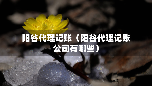 陽谷代理記賬（陽谷代理記賬公司有哪些）