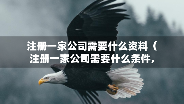 注冊(cè)一家公司需要什么資料（注冊(cè)一家公司需要什么條件,什么資料）