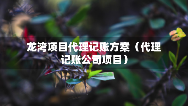 龍灣項目代理記賬方案（代理記賬公司項目）