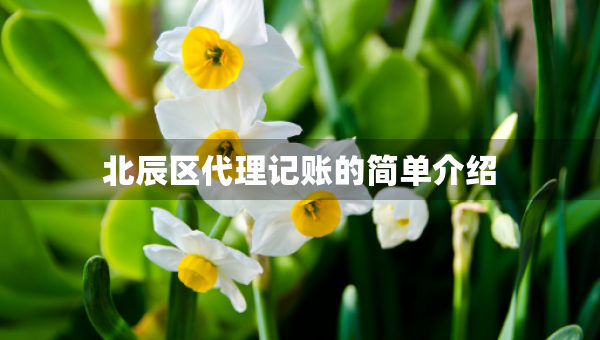 北辰區(qū)代理記賬的簡(jiǎn)單介紹