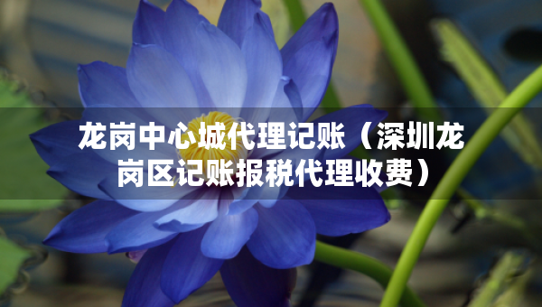 龍崗中心城代理記賬（深圳龍崗區(qū)記賬報稅代理收費(fèi)）